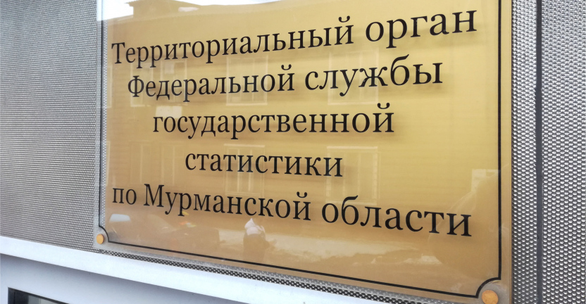 Состоялось очередное заседание Общественного совета при Мурманскстате