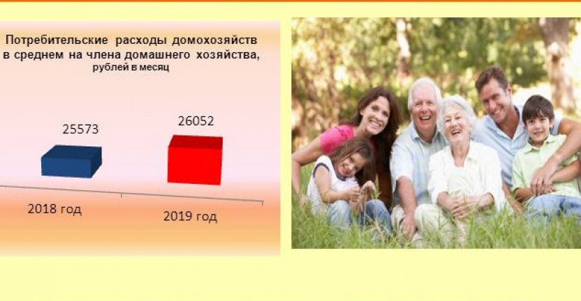О расходах среднестатистического домохозяйства  Мурманской области в 2019 году
