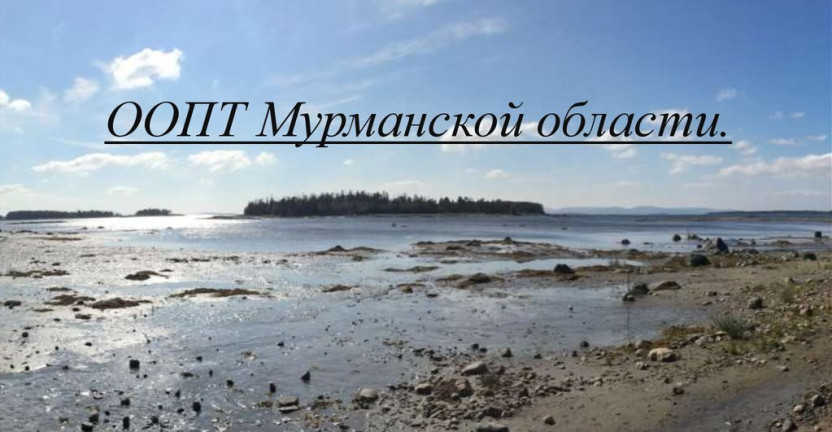 Об особо охраняемых природных территориях  Мурманской области