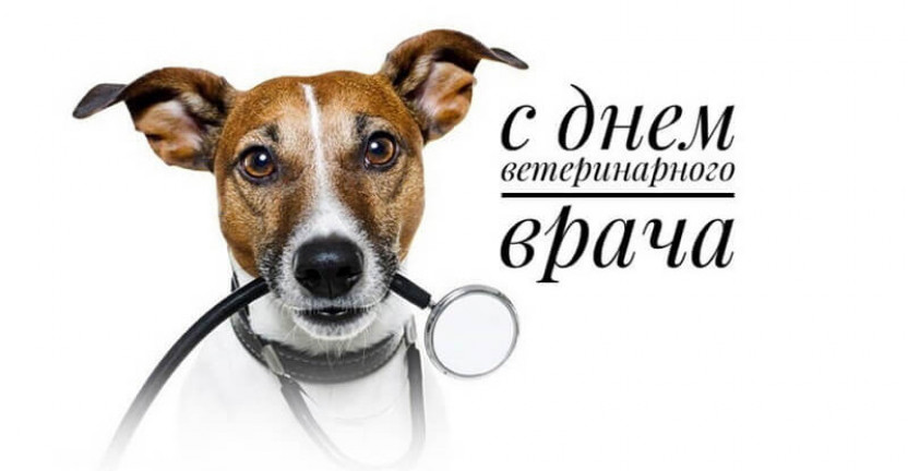 31 августа – День ветеринарного работника
