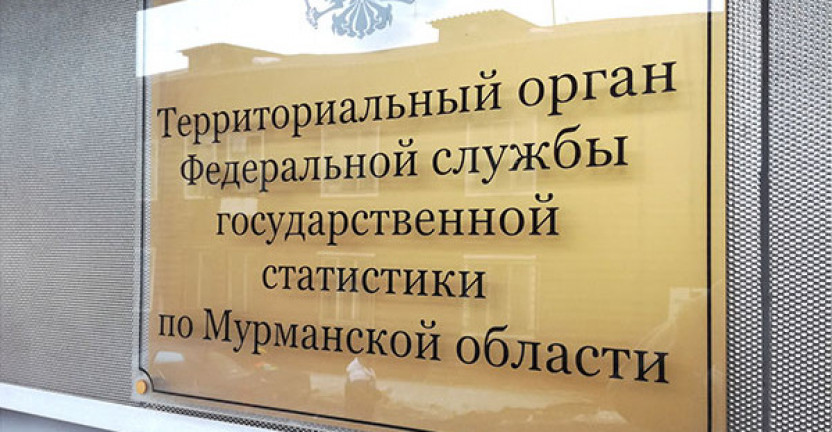 О деятельности социально ориентированных некоммерческих организаций в Мурманской области в 2019 году*