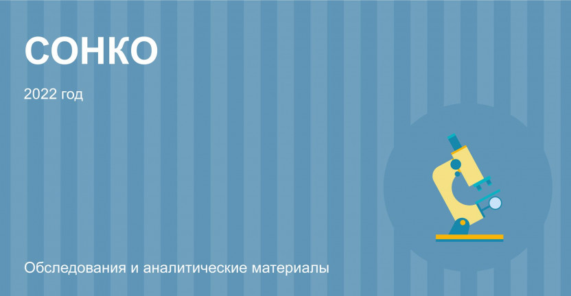 О деятельности социально ориентированных некоммерческих организаций в Мурманской области в 2022 году