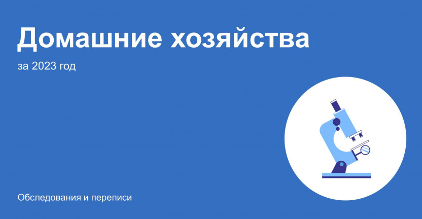 О наличии предметов длительного пользования в домашних хозяйствах Мурманской области