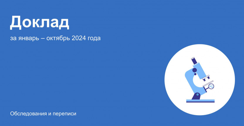 Социально-экономическое положение Мурманской области в январе-октябре 2024 года